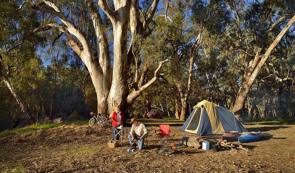 A group of campers sitting next to their tent at Millewa campgrounds in Murray Valley National Park. Photo: Gavin Hansford © OEH