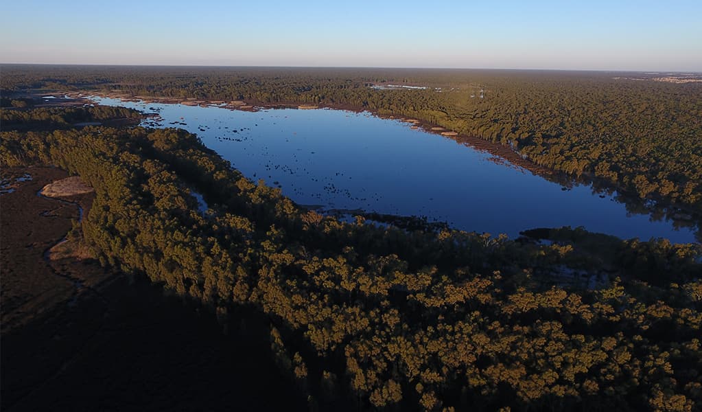 Aerial shot of Moira Lake in Murray Valley Regional Park. Photo: Vince Bucello © OEH