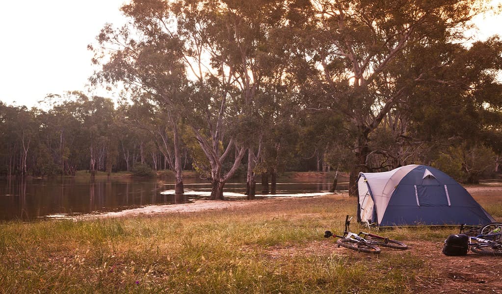 Pitched tent with creek in background at Ngawe campgrounds in Murray Valley National Park. Photo: David Finnegan © DPIE
