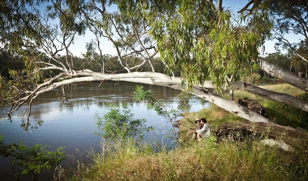 Murray Valley National Park. Photo: David Finnegan © DPIE