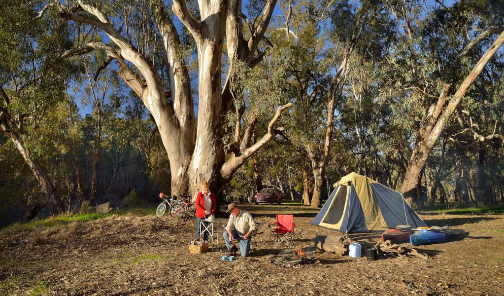 2 campers and river red gums in the distance, Murrumbidgee Valley Regional Park. Credit: Gavin Hansford © DPE