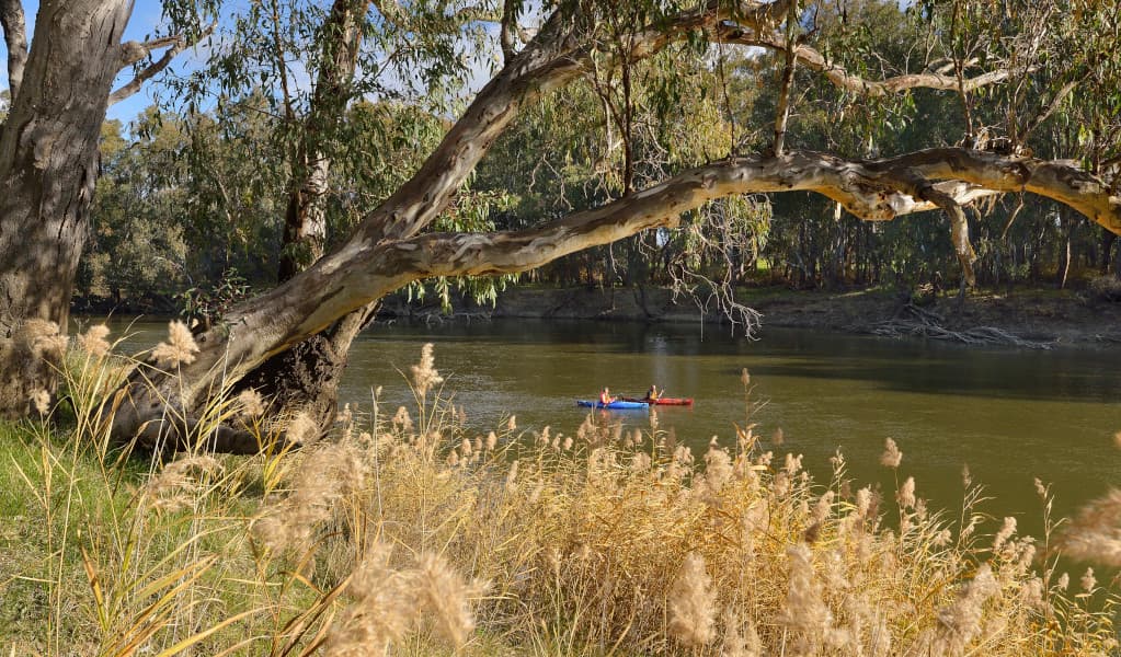 2 people kayaking on the Murrumbidgee River. Credit: Gavin Hansford © DPE