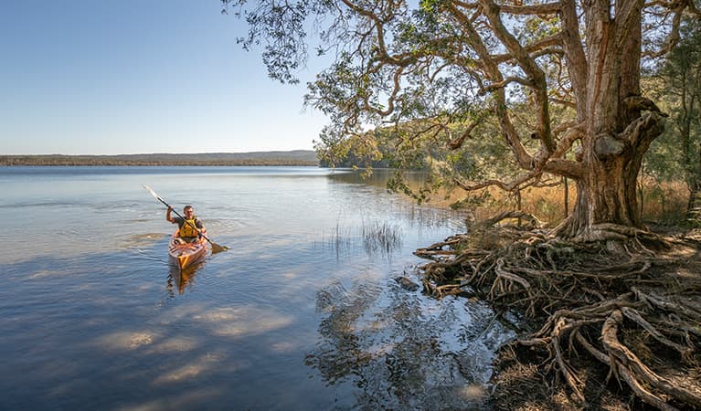 Visitor paddling across Boolambayte Lake, Bungarie Bay campground. Credit: John Spencer © DPE