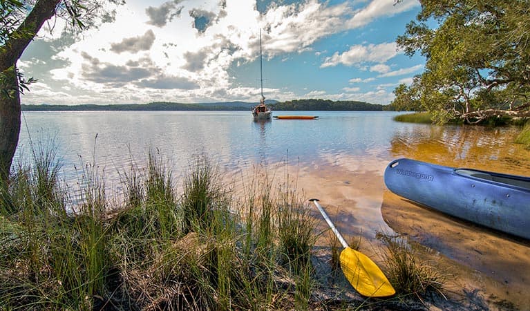 Johnsons Beach campground, Myall Lakes National Park. Photo: John Spencer/NSW Government