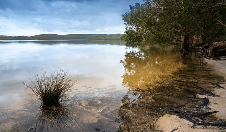 Sandy shallows of Two Mile Lake with wooded shoreline and views to the distant shore. Photo: John Spencer © DPIE