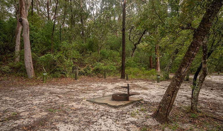 View of sandy camping area with wood barbecue set in bushland. Photo: John Spencer © DPIE