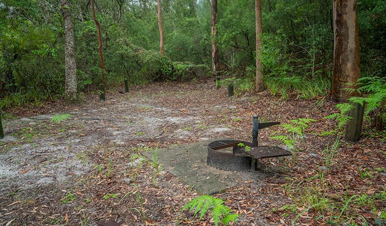 View of sandy camping area with wood barbecue, surrounded by trees and lush green undergrowth. Photo: John Spencer © DPIE