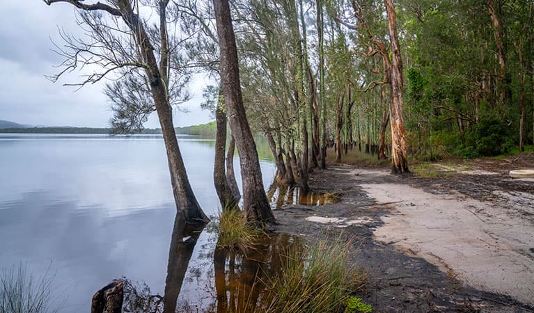 Joes Cove campground and Two Mile Lake in Myall Lakes National Park. Photo: John Spencer © DPIE