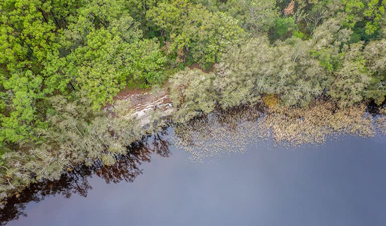 Aerial view of Joes Cove campground, set amongst bushland on the shores of Two Mile Lake in Myall Lakes National Park. Photo: John Spencer © DPIE