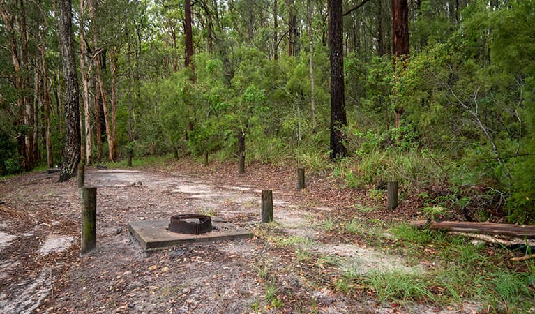 A fire ring at the campsite in Joes Cove campground, Myall Lakes National Park. Photo: John Spencer © DPIE