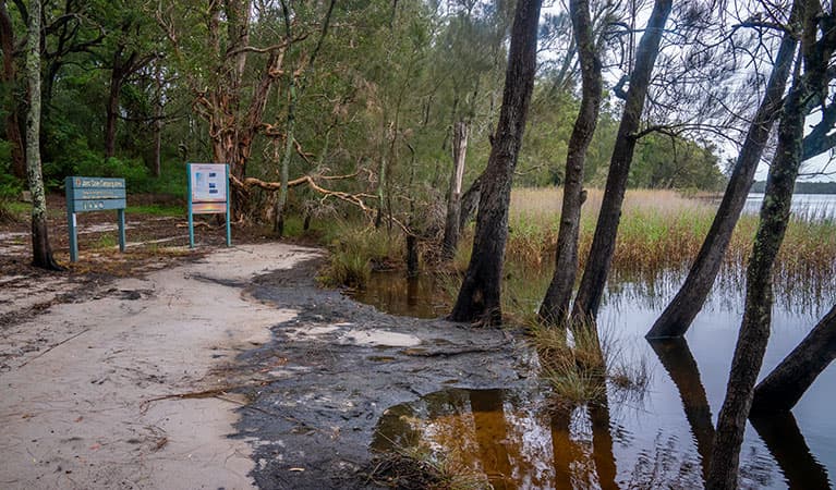 Lakeside signage at Joes Cove campground set amongst trees in Myall Lakes National Park. Photo: John Spencer © DPIE