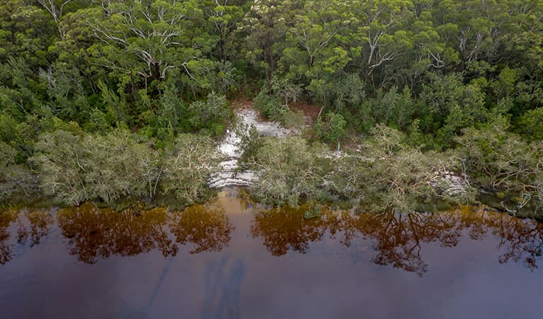 Aerial view of Two Mile Sands campground in Myall Lakes National Park. Photo: John Spencer © DPIE