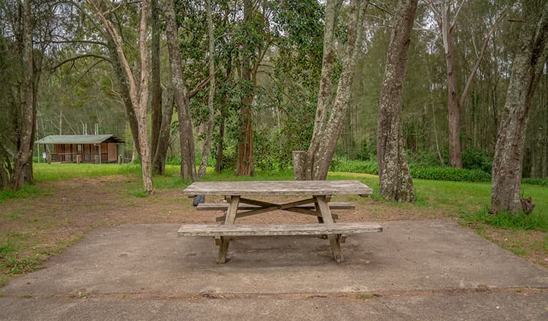 A picnic table with amenities block in the background at Violet Hill campground in Myall Lakes National Park. Photo: John Spencer © DPIE