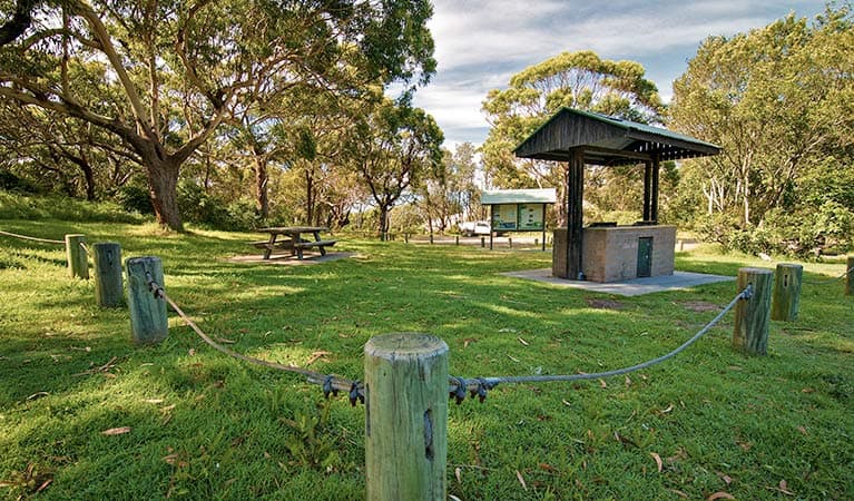 Yagon campground, Myall Lakes National Park. Photo: John Spencer/NSW Government