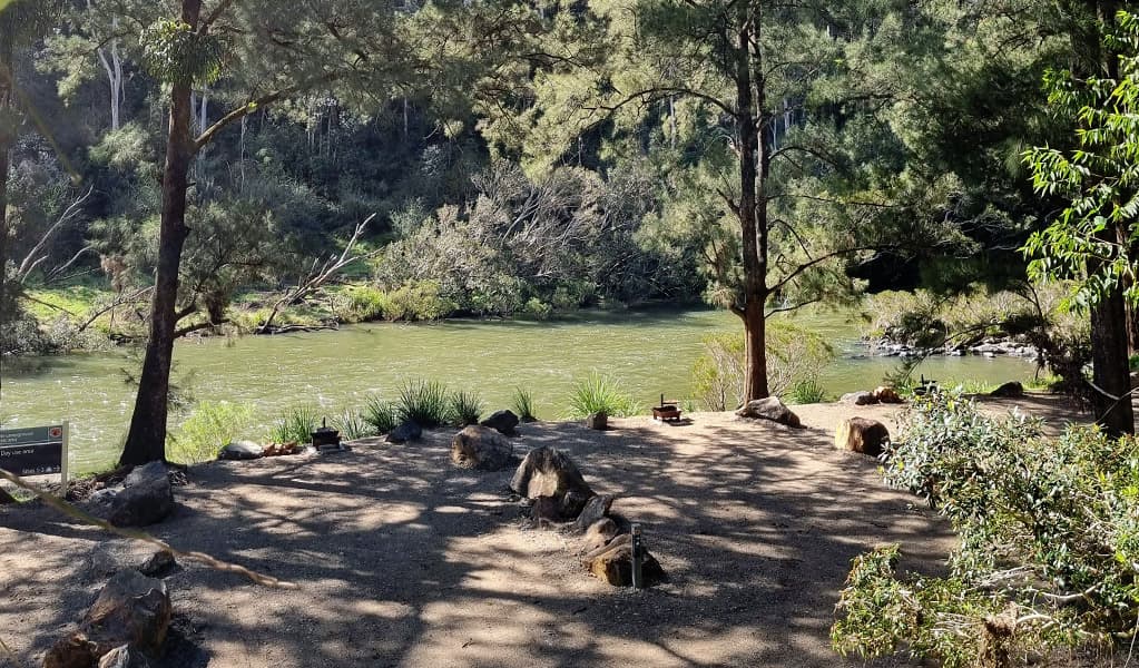 Campsites by the Nymboida River at Cod Hole campground and picnic area in Nymboi-Binderay National Park. Credit: Kit King © DCCEEW