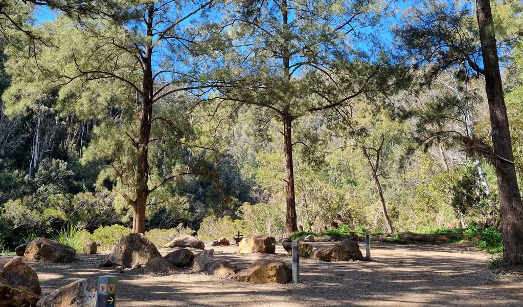 Campsites at Cod Hole campground and picnic area shaded by surrounding trees at Nymboi-Binderay National Park. Credit: Kit King © DCCEEW