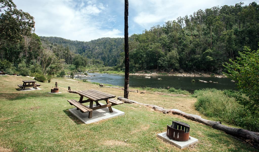 Picnic tables and fire pit by Nymboida River at The Junction campground, Nymboi-Banderay National Park. Photo: Jay Black, © DCCEEW.