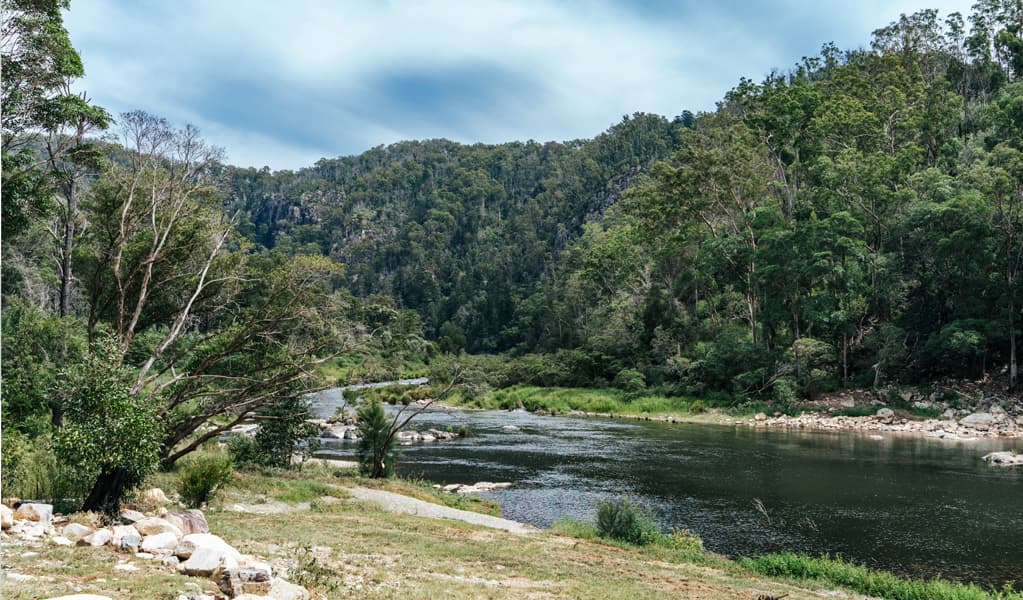 Campsite on the bank of Nymboida River, The Junction campground, Nymboi-Binderay-National-Park. Photo: Jay Black, © DCCEEW