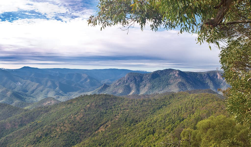Views of Aspley River Gorge. Photo: Robert Cleary/DCCEEW © OEH