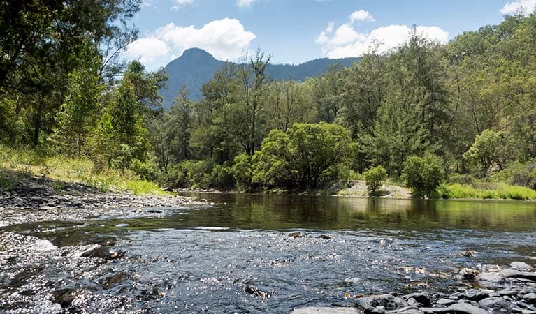 Halls Peak in Oxley Wild Rivers National Park. Photo: Leah Pippos © DPIE