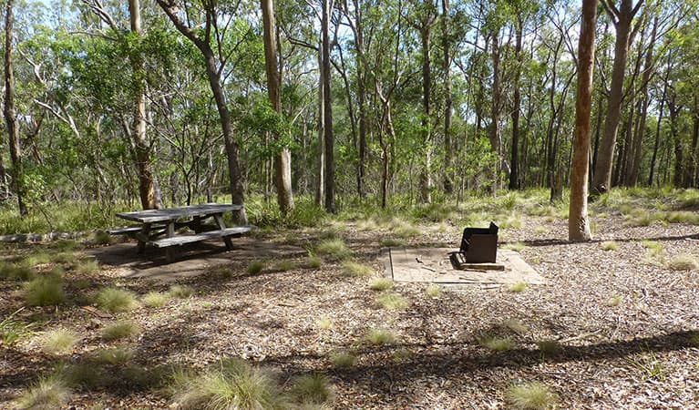 A picnic table and wood barbecue at Long Point campground in Oxley Wild Rivers National Park. Photo: Piers Thomas © DPIE