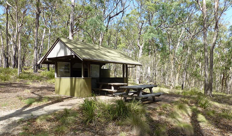 A picnic table and shelter at Long Point campground in Oxley Wild Rivers National Park. Photo: Piers Thomas © DPIE