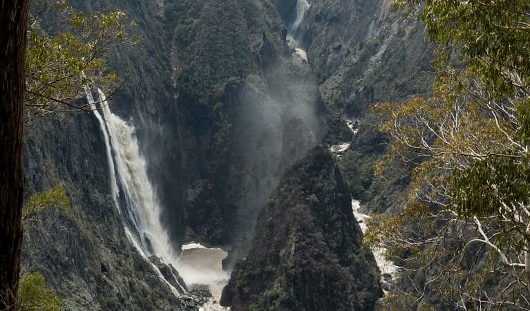 Wollomombi and Chandler Falls, Oxley Wild Rivers National Park. Photo: Leah Pippos © DPE