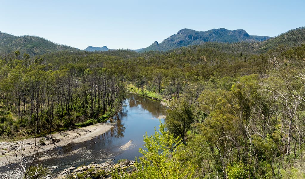 View of the Aspley River and surrounding bushland at Riverside campground and picnic area. Photo: Leah Pippos/DCCEEW © Leah Pippos