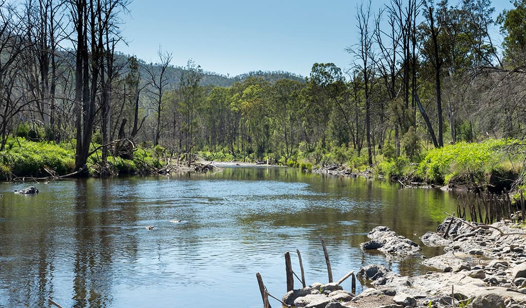 You can swim, fish and canoe on the Aspley River nestled near Riverside campground and picnic area in Oxley Wild Rivers National Park. Photo: Leah Pippos © Leah Pippos