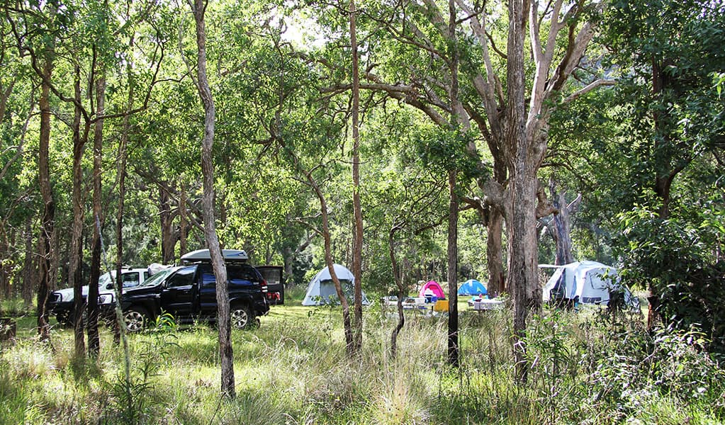 Enjoy shaded campsites in a truly remote, bush setting at Youdales campground. Credit: Natasha Webb © Natasha Webb/DCCEEW