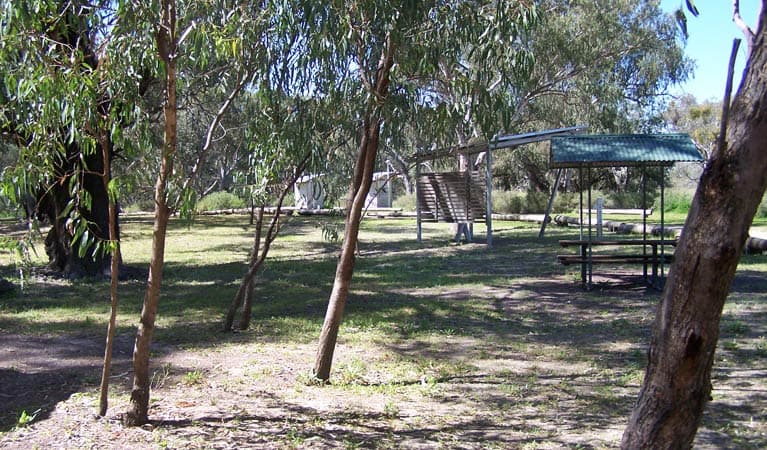 Coach and Horses Campground, Paroo Darling National Park. Photo: Dinitee Haskard/NSW Government