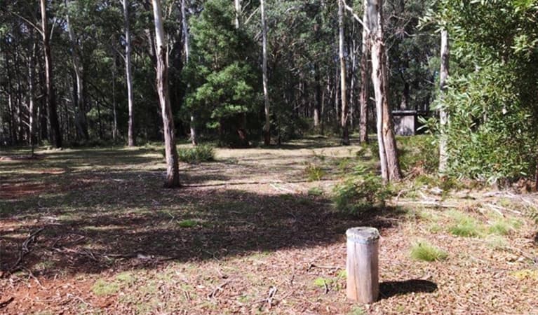 Nunnock campground sites surrounded by woodland. Photo: Lawani Colley/OEH