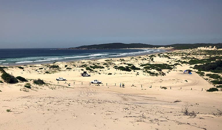 View across sand to vehicles, people, and a tent on Samurai Beach in Tomaree National Park. Photo: Jim Cutler © DPIE