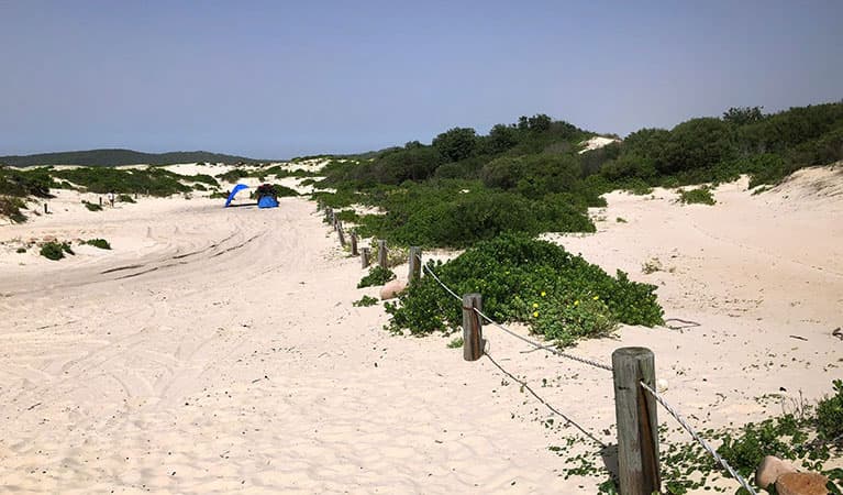 View of sand dunes and dune vegetation alongside a track, with a tent and people in the distance. Photo: Jim Cutler © DPIE