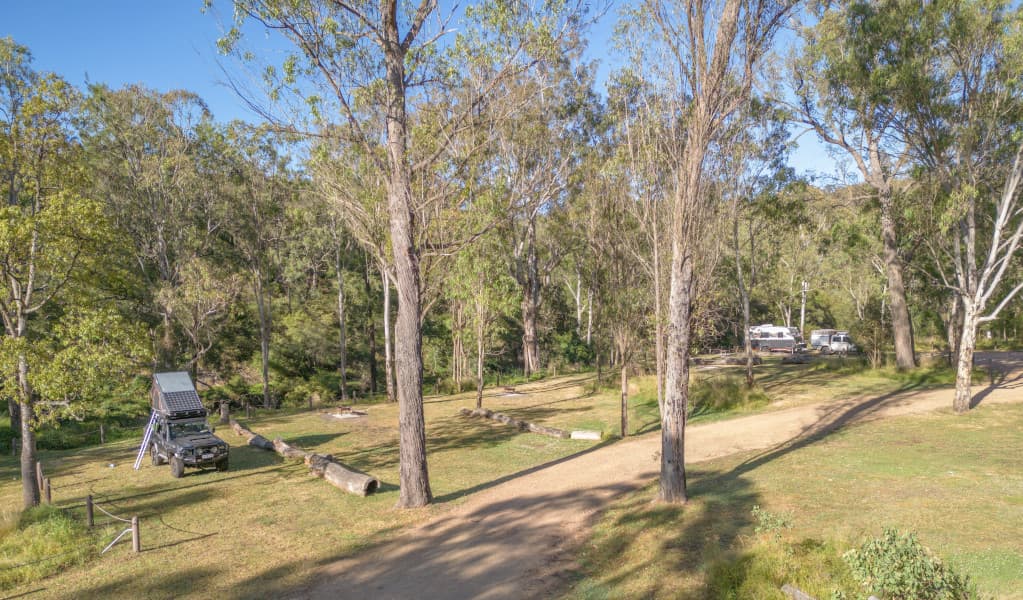 Campsites at Washpools campground. Credit: John Spencer © DPE