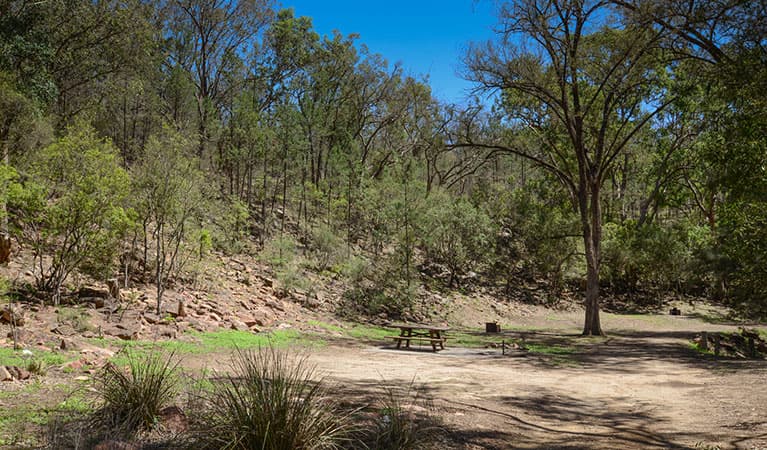 Grassy clearing surrounded by trees with a picnic table and wood barbecue at Gum Hole campground and picnic area in Warrabah National Park. Photo: Peter Berney © DPIE