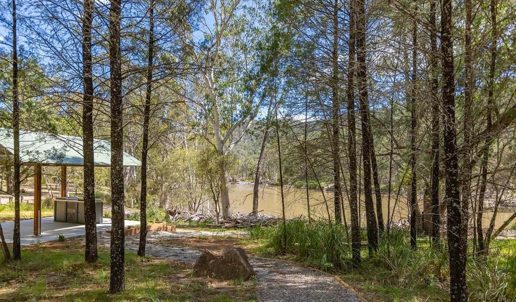 Covered barbecue area amongst the trees, overlooking the river, Warrabah National Park. Photo: Joshua Smith © DPE