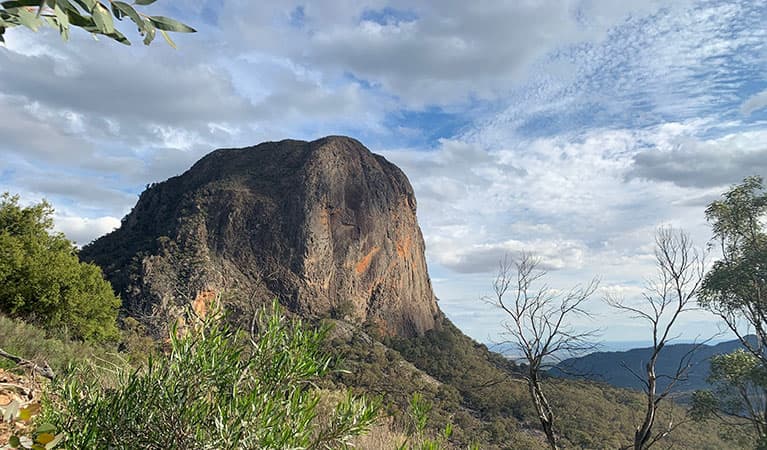 View of Bluff Mountain set in bushland on a partly cloudy day. Photo: Eveline Chan © Eveline Chan