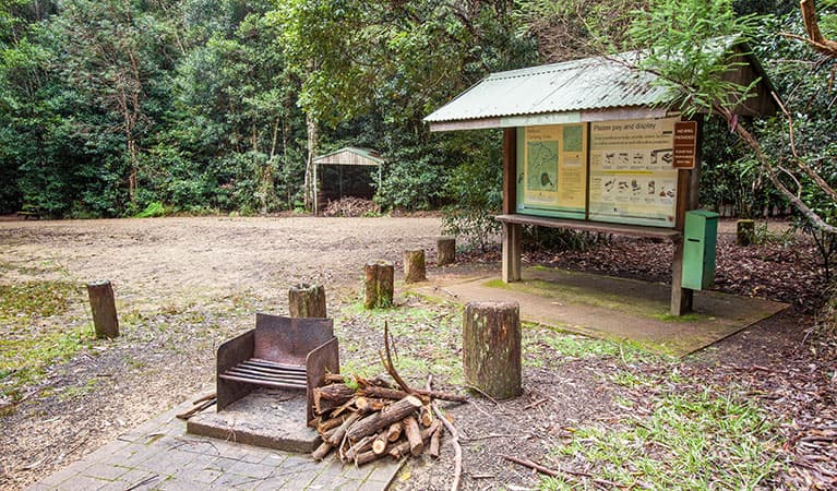 Information sign and barbecue at Bellbird campground in Washpool National Park. Photo: Robert Cleary © DPIE
