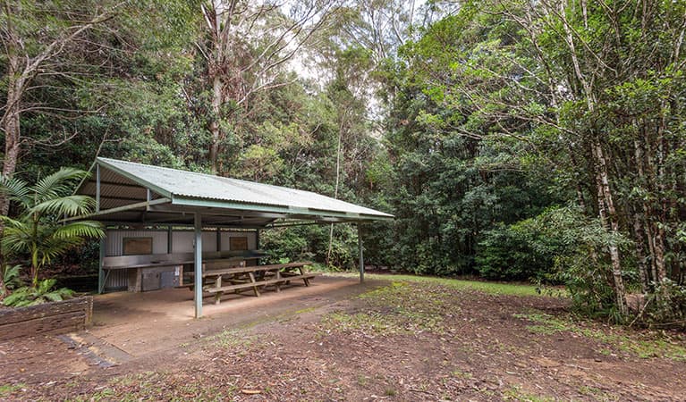 Bellbird campground with picnic shelter in Washpool National Park. Photo: Robert Cleary © DPIE
