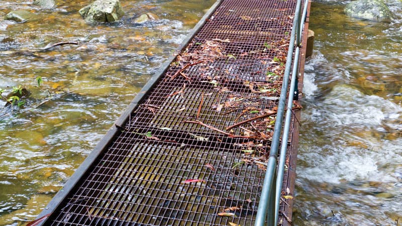 Foot bridge over the creek at Coombadjha campground. Photo © Rob Cleary