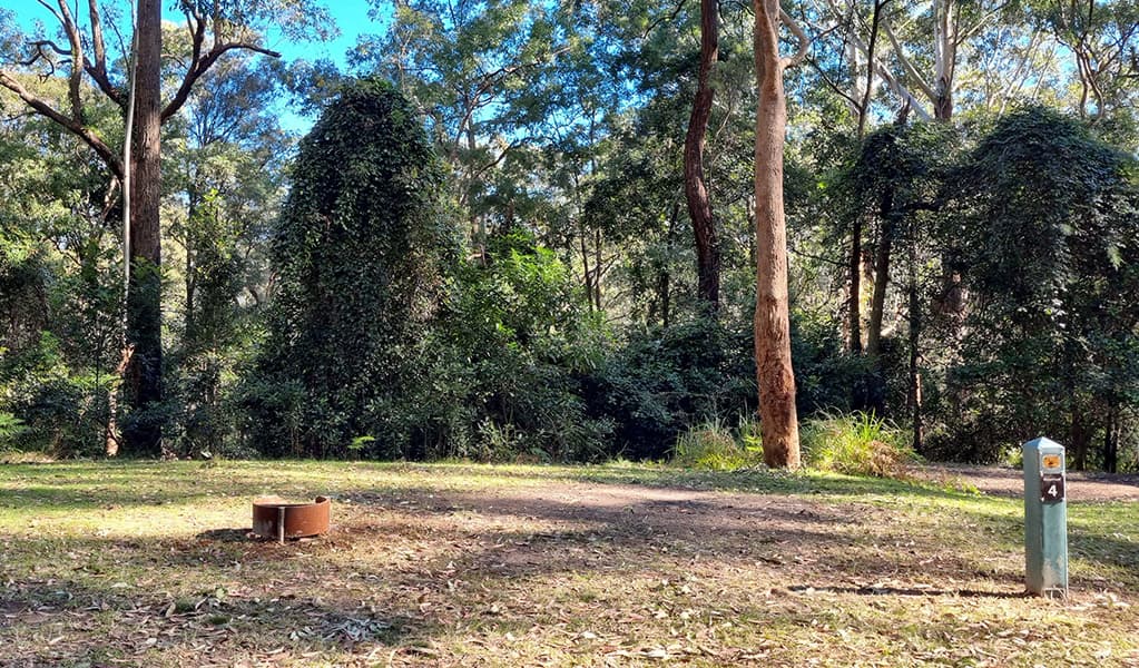Site number 4 at Bangalow campground. Photo: Elise McCarthy © DCCEEW