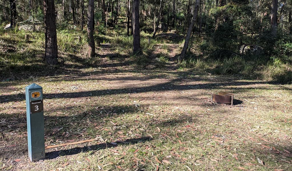 Site number 3 at Bangalow campground. Photo: Elise McCarthy © DCCEEW