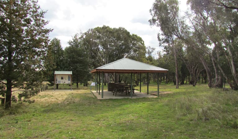 Ben Halls Campground, Weddin Mountains National Park. Photo: M Cooper/NSW Government