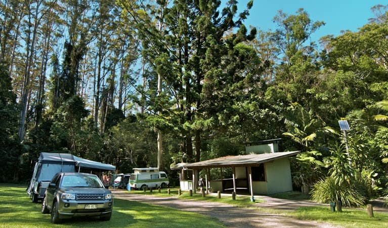 Rummery Park Camping Area, Whian Whian State Conservation Area. Photo: John Spencer © OEH