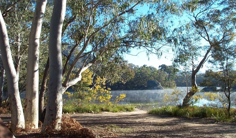 Riverbank, Ganguddy-Dunns Swamp campground, Wollemi National Park. Photo © Chris Pavich