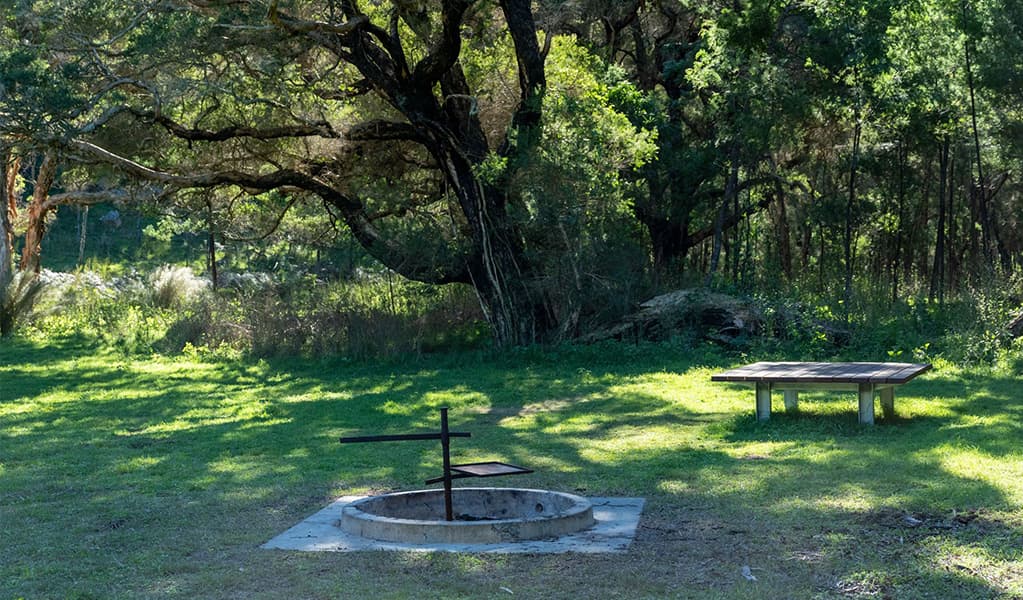 Fire pit and seating platform at Blue Gums campground in Yengo National Park. Credit: Allan Chawner © DCCEEW