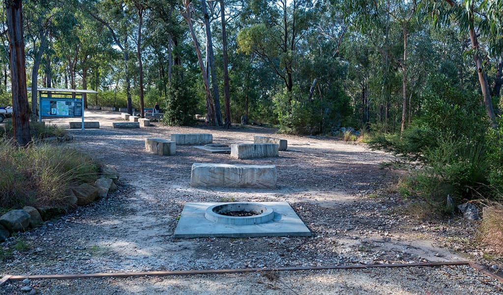 Concrete firepits with seating at Finchley campground in Yengo National Park. Credit: Allan Chawner © DCCEEW