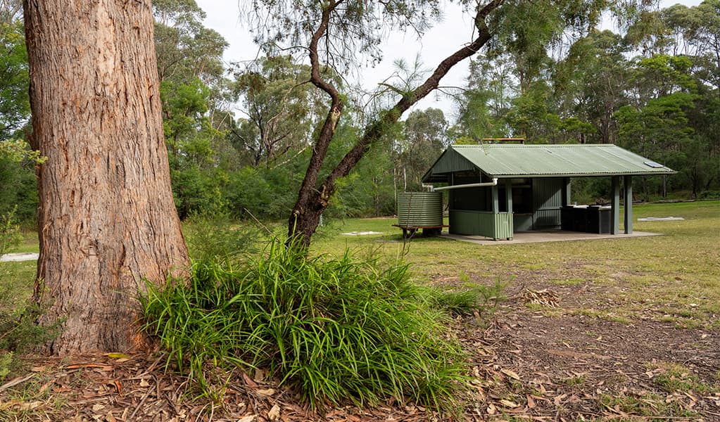 View of the camp kitchen at Mogo campground. Photo: Allan Chawner © DCCEEW
