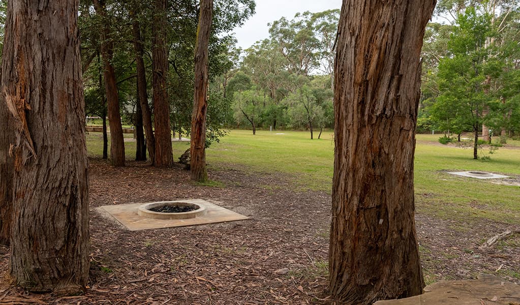View of campsites through the trees, Mogo campground. Photo: Allan Chawner © DCCEEW